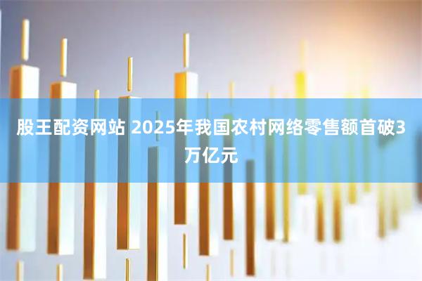 股王配资网站 2025年我国农村网络零售额首破3万亿元