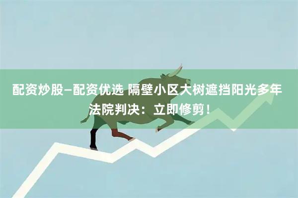 配资炒股—配资优选 隔壁小区大树遮挡阳光多年 法院判决：立即修剪！
