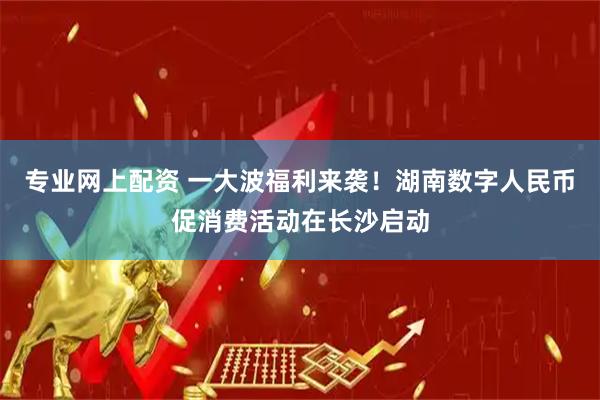 专业网上配资 一大波福利来袭！湖南数字人民币促消费活动在长沙启动